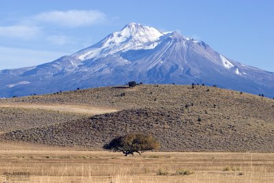 Mount Shasta - View of the west Flank
