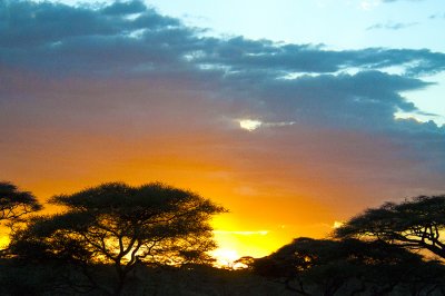 Sunrise on Serengeti