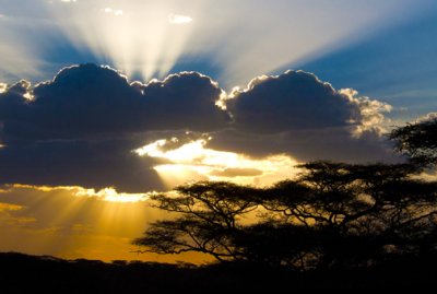 Sunrise on Serengeti
