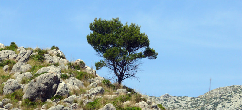 Walk to Cala de San Vicenc