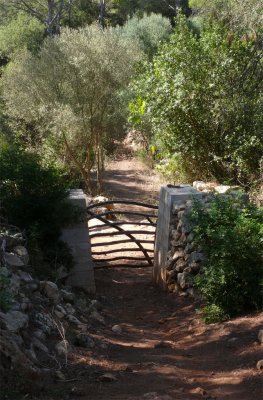 Gates made from natural wood.