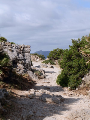 Boquer valley