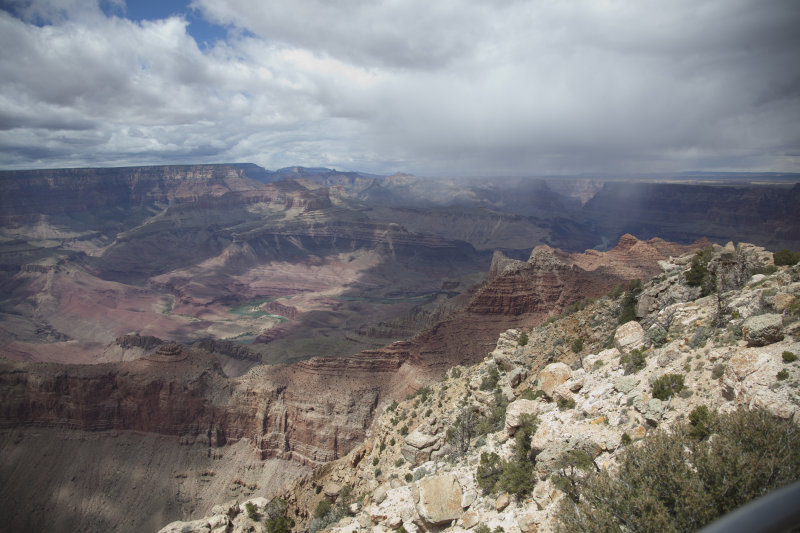 GC_3_051111.jpg