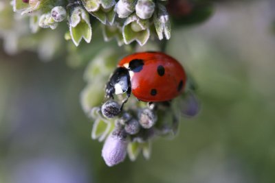 IMG_0576.JPG