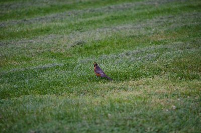 _DSC7209.jpg