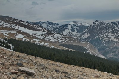 Looking down to tree line