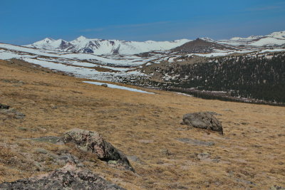Alpine tundra view