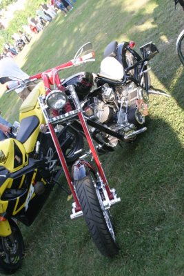 IMG_4845.jpg