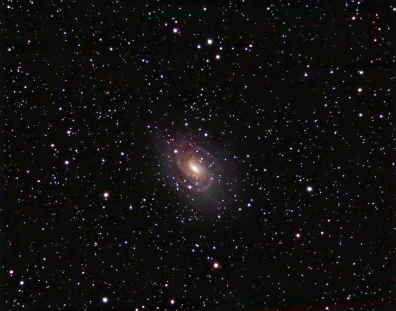 NGC 6384