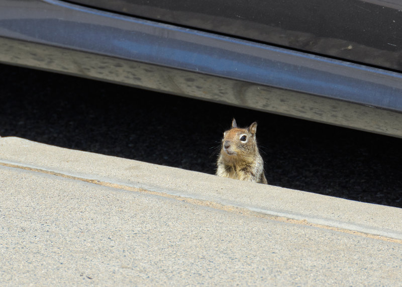 DSC_0143web.jpg