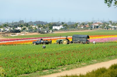 DSC_0794web.jpg