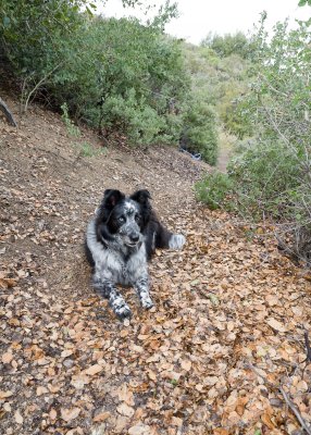 DSC_1039web.jpg
