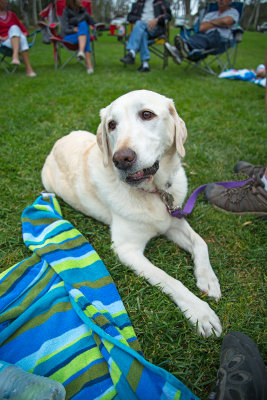 DSC_0332web.jpg
