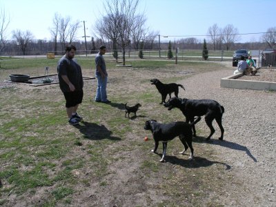 Chris Allen with Brogan, Bosley and Azure looking on