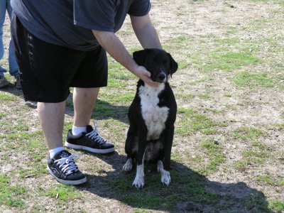 Bosley
