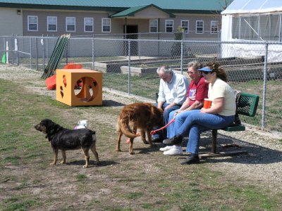 Katie, Mr. Dogg and Chopper with owners Jim Rutter, Pat Zavitch and Sue Johnson