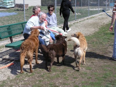 Chopper, Mr. Dogg, Jasmine and Bear (mooching treats?)