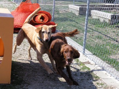 Bear and Kelly