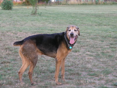 Jasmine's big brother Maxwell