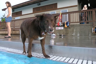Jasmine at the public pool's annual Hot-Dippity-Dog  gala on closing day