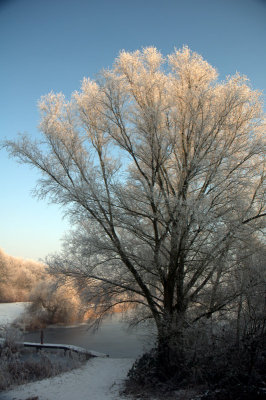 winter