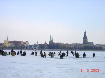 16886067.JPG