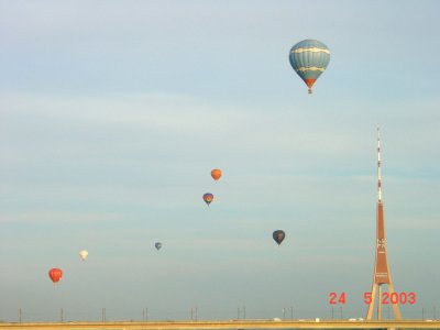 16886075.JPG