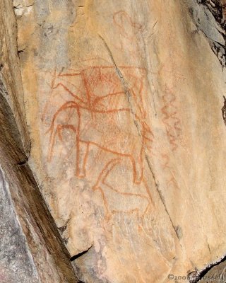 Bushman rock art 3000-4000 yrs old