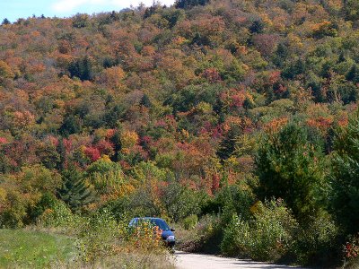 Fall Foliage in New Hampshire