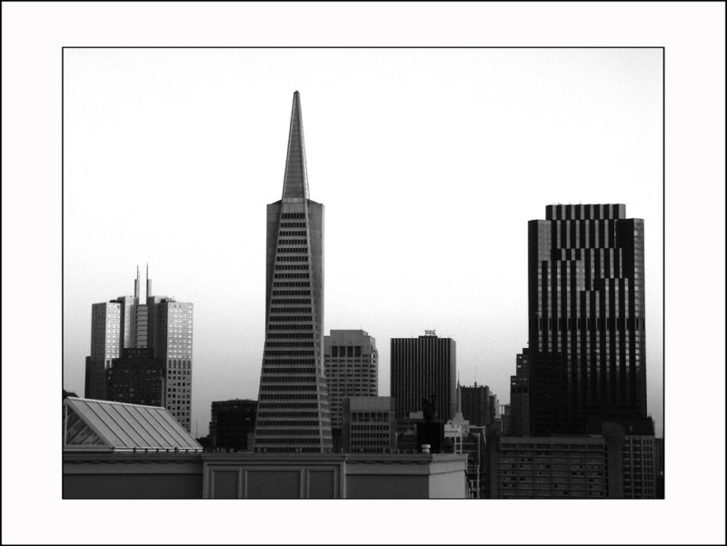Image from Coit Tower