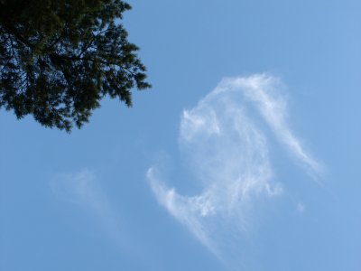 2003-07 Wolke