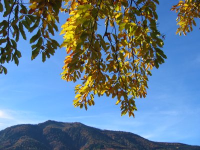 2004-10 Herbst