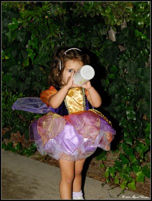 Halloween 2009