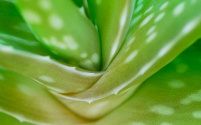 g5/00/358300/3/100189001.7RZqN0qJ.jpg