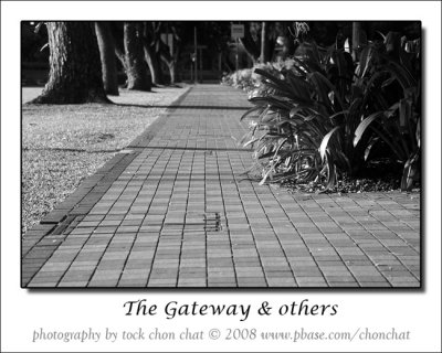 Road to The Gateway