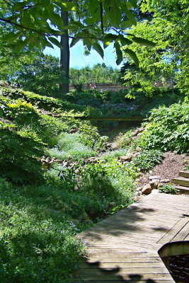 Hornbaker's Garden