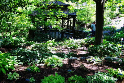100_0751.JPG