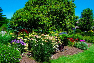 100_0754.JPG