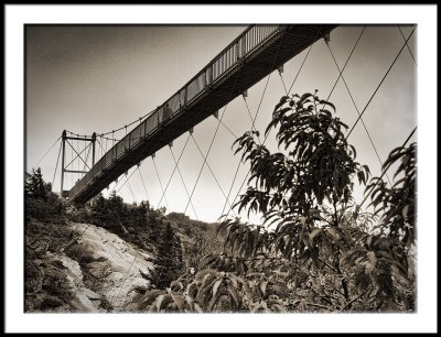 Mile High Swinging Bridge from Trail