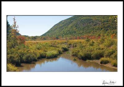 Beginning of Color in Acadia