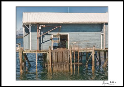 Lobster Shack