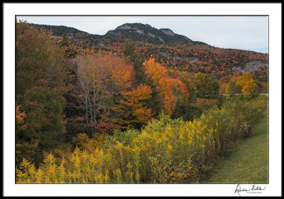 Grandfather Mt with Goldenrod/Light Falling