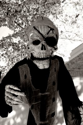 spooky.jpg