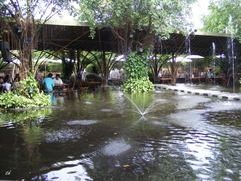 DSCF0805.jpg
