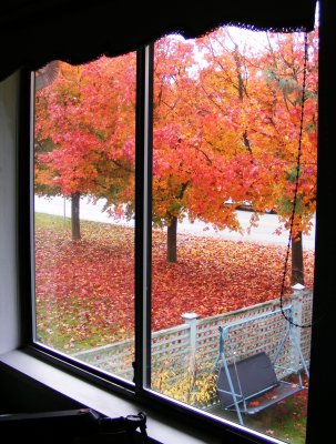 Fall at the frontyard