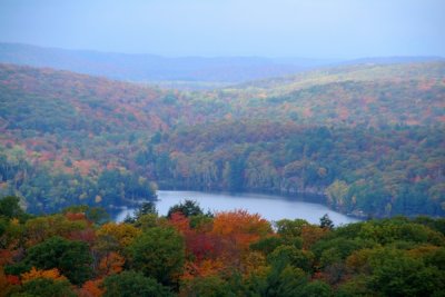 061001_019.jpg