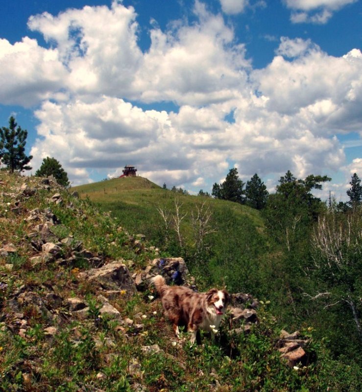 Cement Ridge
