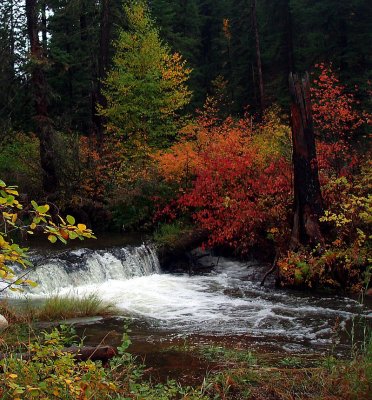 Aspen Falls