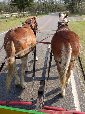 Travels with Bernie Harberts