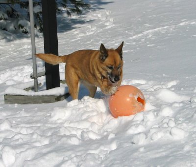 Feb.25,2003_44